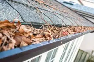 Clogged house gutters