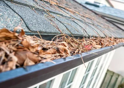 Clogged house gutters