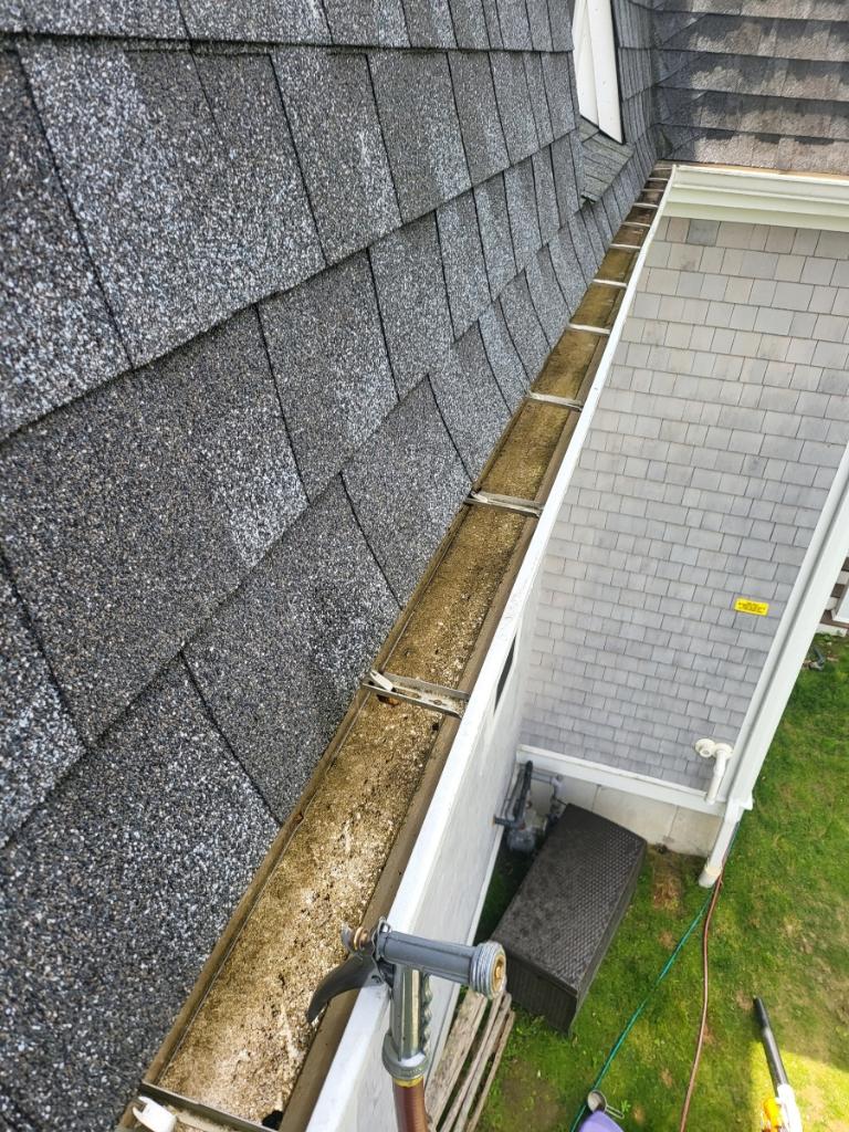 gutter cleaning service